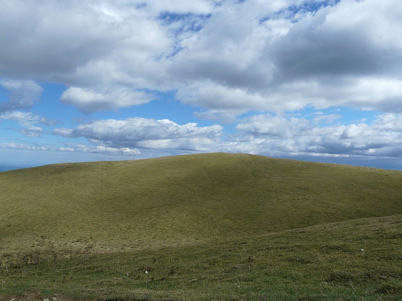 File:Turó de la Portella d'Ogassa P1150494.JPG