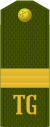 Turkmenistan army OR-7.svg