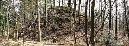 Turmhügelburg, Burg am Wald 05