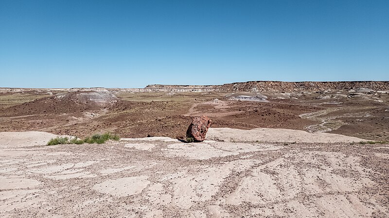 File:USA - Arizona - Petrified Forest National Park - 52977902099.jpg