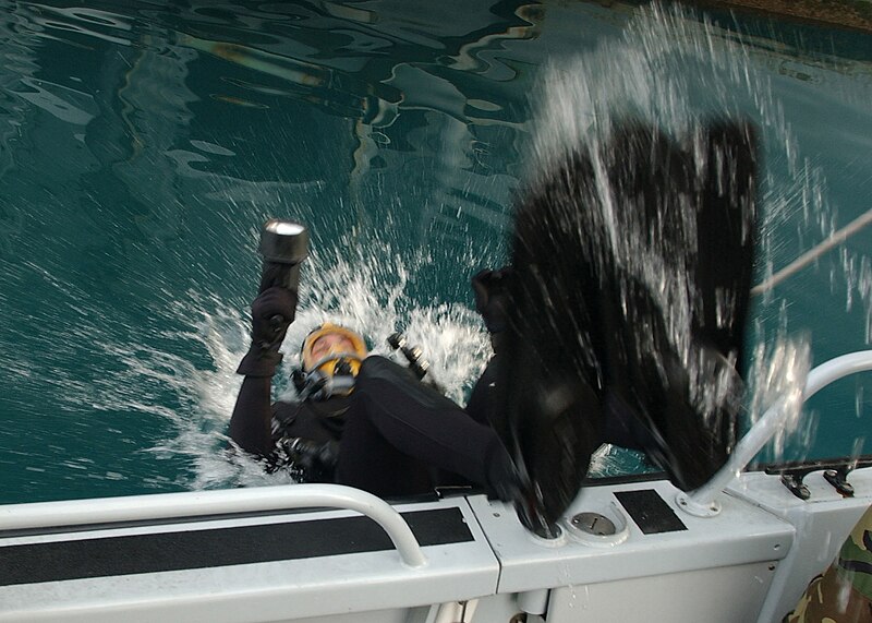 File:US Navy 021225-N-9964S-010 EOD team member dives into the water for an inspection of the aircraft carrier's hull.jpg