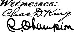 Witnesses signatures