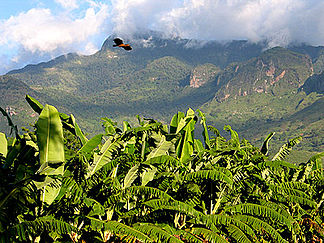 Uluguru-bjergene nær Morogoro