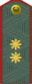 General-leytenant[५८] (Uzbek Ground Forces)