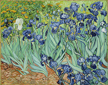 VanGoghIrises2.jpg