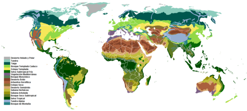 Biomas terrestres clasificados según vegetación