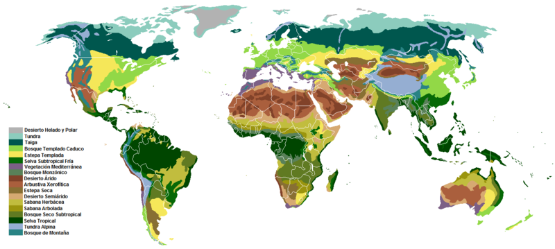 File:Vegetation-spanish.png