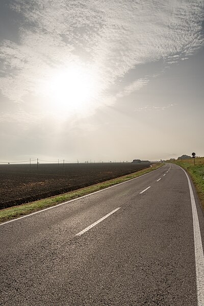 File:Via Po di Gnocca - Isola della Donzella, Porto Tolle, Rovigo, Italia - 23 Ottobre 2022 02.jpg