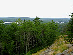 Utsikten över skogen från Eagle Mountain.