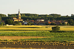 Anvista de Villarejo de Órbigo