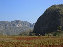 Dome-like rounded mogotes in Viñales Valley