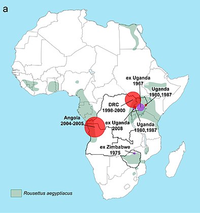 Geographic distribution of Marburg virus and Egyptian fruit bat