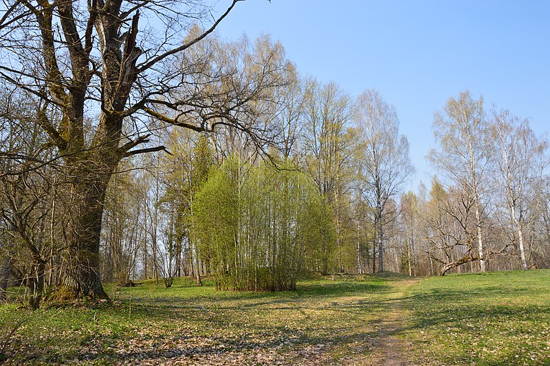 File:WMEE-exp2019-(124) Mõniste mõisa park.jpg