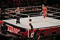 WWE Raw IMG 2846 (11701650235).jpg