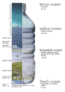Water salinity diagram