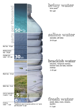 <span class="mw-page-title-main">Salinity</span> Proportion of salt dissolved in water