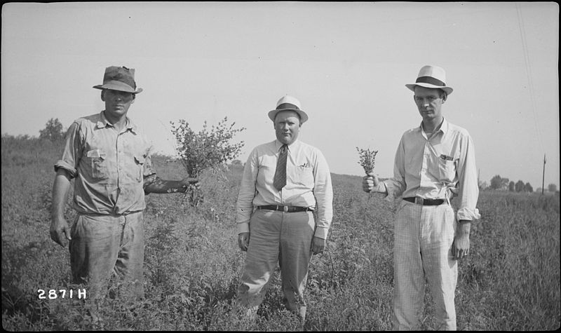 File:White brother's farm, putting in irrigation - NARA - 280247.jpg