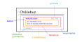 dsb (нижнелужицкий)