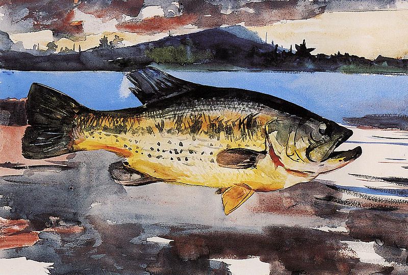 File:Winslow Homer - Bass.jpg