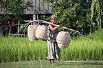 Laotisk kvinna bärstång, som bär korgar