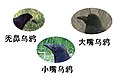 於 2011年2月17日 (四) 12:08 版本的縮圖