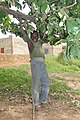 Young Boy Hanging Around - Gaoua - Burkina Faso.jpg