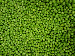 (Pisum sativum), A pea is a most commonly green.JPG