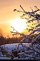 Вологодская область, Раменье, солнце над деревней