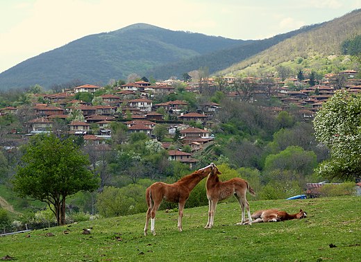 Провинция вики. Сливен. Болгария, г. Сливен.