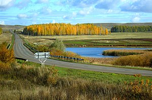 Типичный пейзаж Оренбуржья. (Переволоцкий район)