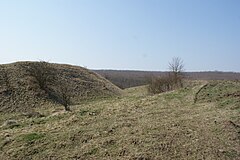 Городище. Межегейское Городище. Бушаринское Городище. Каменское Городище. Неждинское Городище.