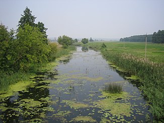 Р.  Мерла.  Вид с моста дороги Харьков-Краснокутск, август 2010.jpg