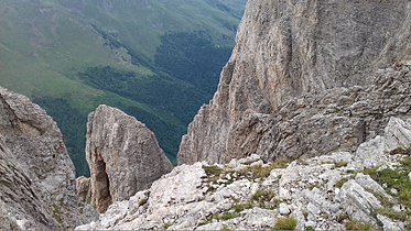Глетки на карпестите облици на северната падина веднаш под врвот