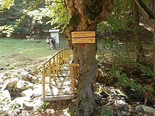 Dilijan National Park Hiking Trail