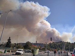 <span class="mw-page-title-main">2021 Israel wildfires</span> Forest fire in Jerusalem hills