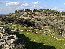 מבט מכוון דרום על הגבעה של תל חָדִיד שם שכנה ח'דיתה