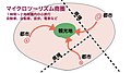 2020年8月11日 (火) 05:56時点における版のサムネイル