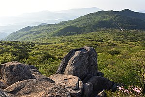 金井山