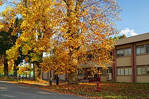 岩手大学: 概観, 沿革, 基礎データ