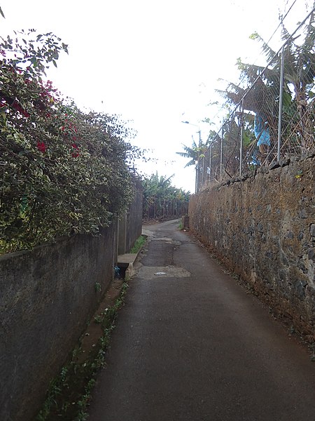 File:2.ª travessa do Pilar e muros da da Quinta Crawford, Funchal, Madeira - 2012-02-28 - DSC03639.jpg