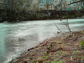 * Nomination Savoureuse river in Valdoie --ComputerHotline 12:49, 25 March 2013 (UTC) * Promotion Nice and Q is OK. --NorbertNagel 17:55, 25 March 2013 (UTC)