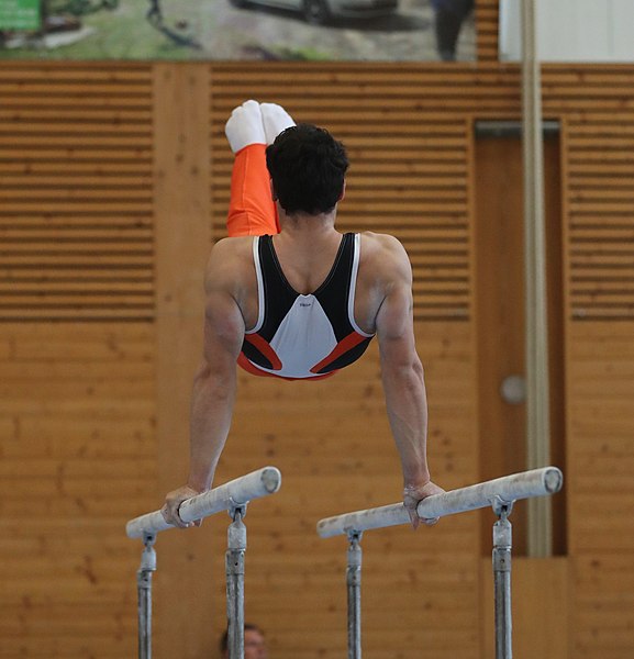 File:2019-04-13 Rheintalcup P6 Junior Switzerland competition parallel bars (Martin Rulsch) 059.jpg