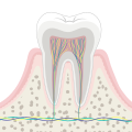 Thumbnail for version as of 01:58, 20 February 2024