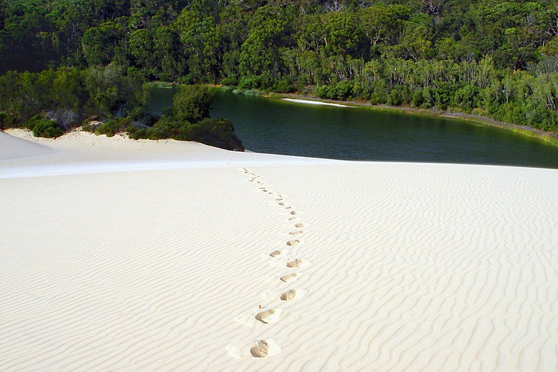 File:A170, Great Sandy National Park, Australia, Fraser Island, Lake Wabby, 2007.JPG