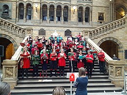 A choir singing from Carols for Choirs in the Natural History Museum, London A choir of Natural History Museum, Science Museum and Victoria and Albert Museum staff members sing carols in the central hall of the Natural History Museum 02.jpg