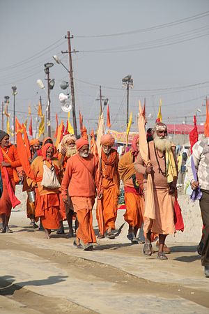 कुंभमेळा: ऐतिहासिक नोंद, भाविकांची उपस्थिती, ज्योतिषीय संबंध