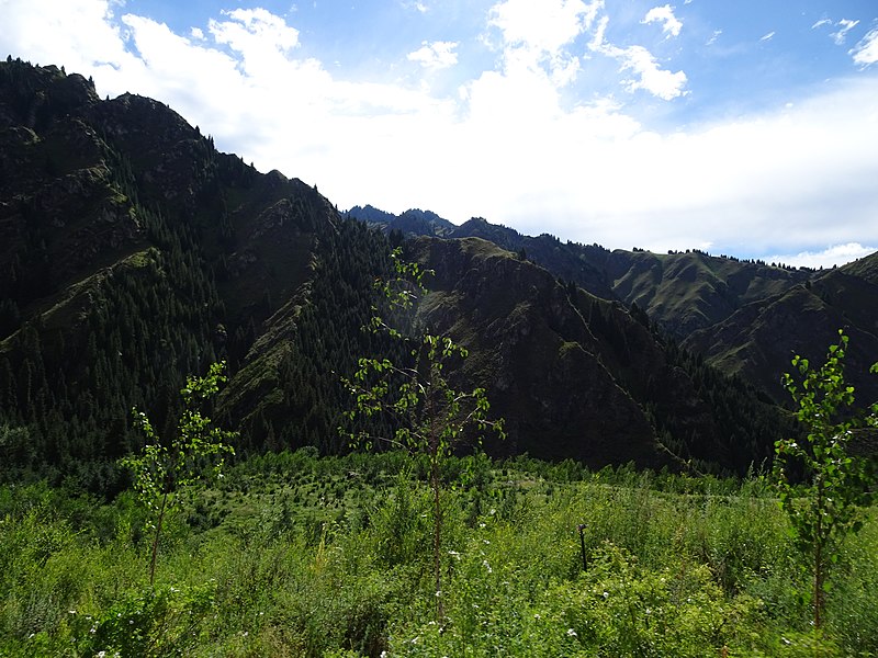 File:A tour in Tian Mountain Heavenly Lake Scenic Area 68.jpg