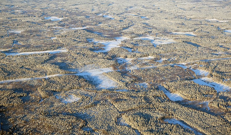 File:Aerial view forests 1.jpg