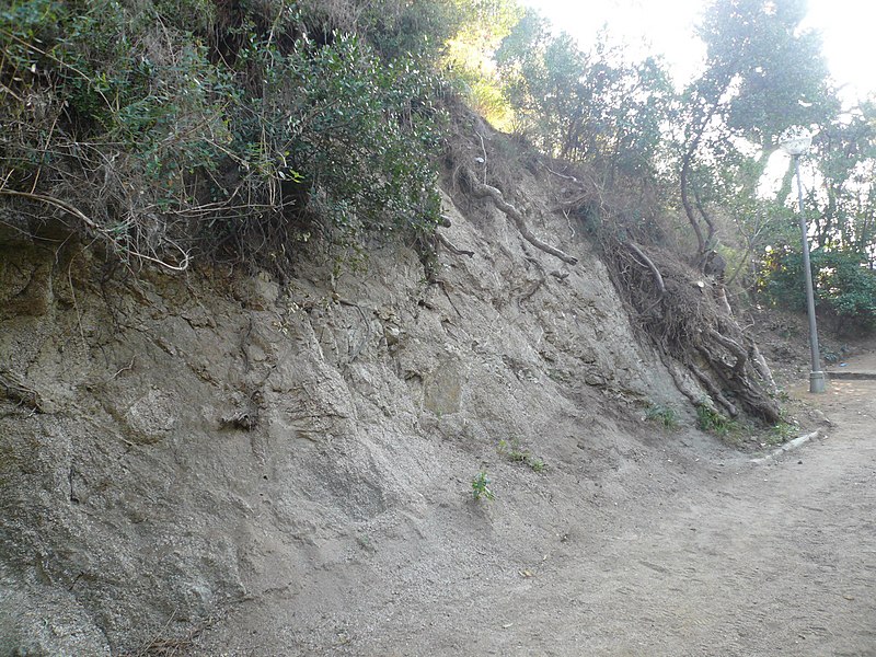 File:Aflorament granític Font del Racó.jpg