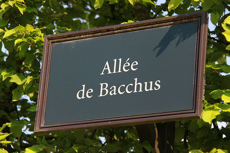 File:Allee de Bacchus - Palace of Versailles 2011.jpg